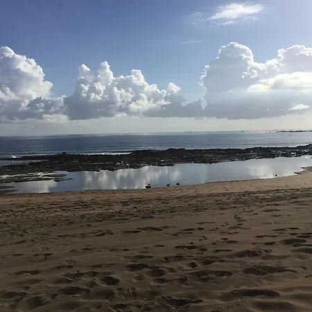 Salineta's Telde